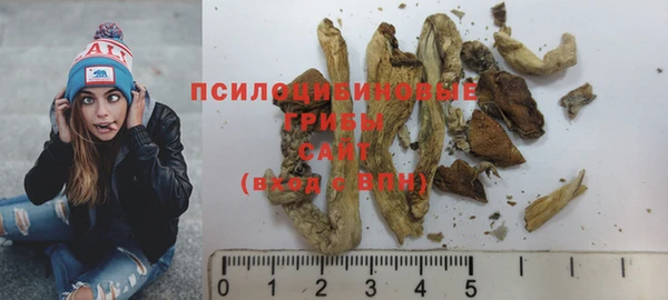 крисы Алзамай