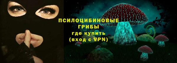 шишки Алексин