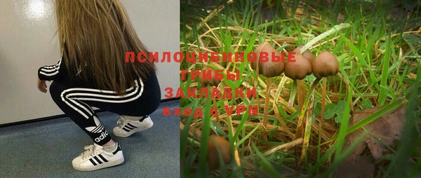 шишки Алексин