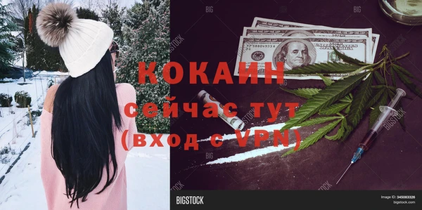 шишки Алексин